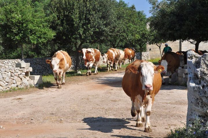 Ecotours