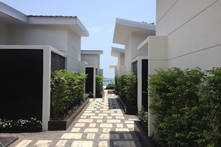 Limelight Village