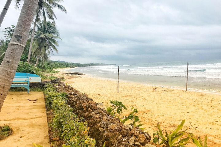 Beach 137 of 238