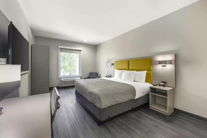 1 King Bed (2 of 15)