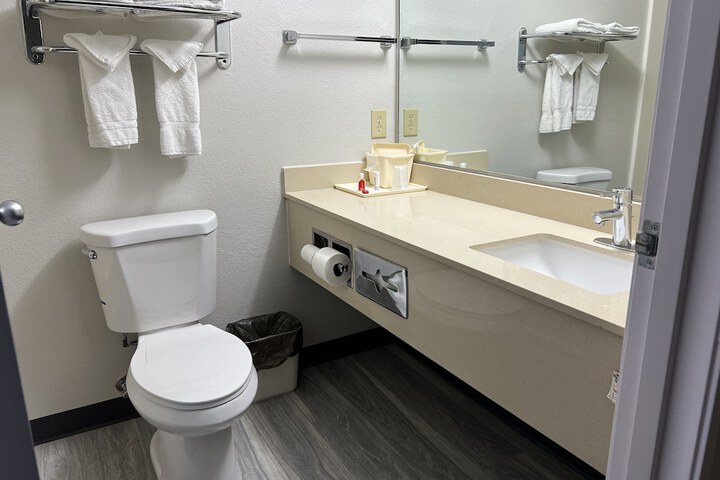 1 King Bed Mobility Accessible Bathtub with Grab Bars (4 of 23)