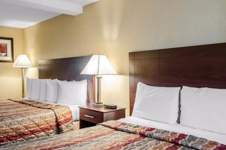 1 King Bed 1 Double Bed (1 of 16)