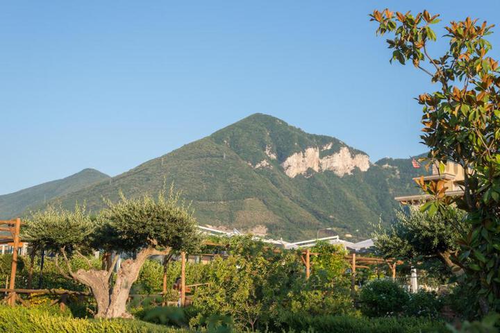 General 25 of 50