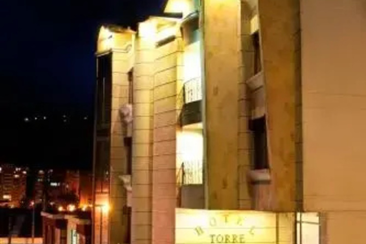 Hotel Torre del Bosque