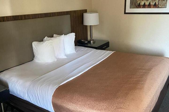 1 King Bed Accessible (6 of 13)