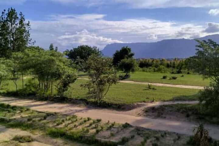 Terrace/Patio 12 of 16