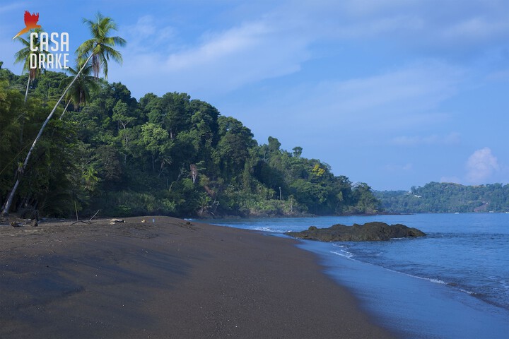 Beach 95 of 107