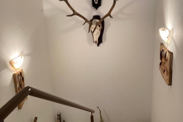 General 5 of 25