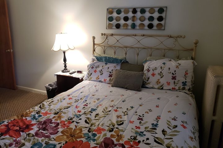 Basic Room 1 Queen Bed (11 of 18)