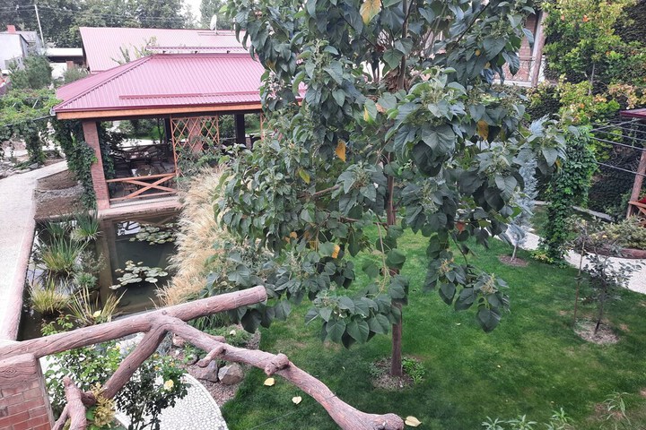 Terrace/Patio 43 of 91