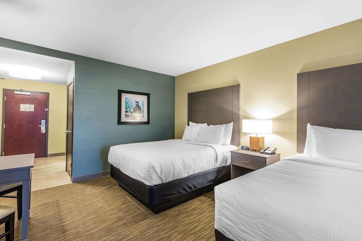 2 Queen Beds (1 of 19)