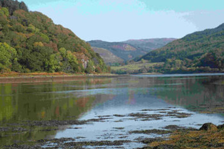 Lake View
