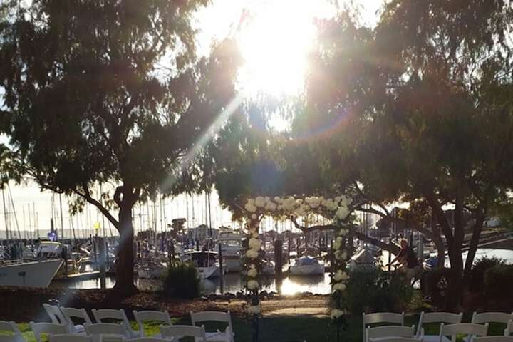 Outdoor wedding area