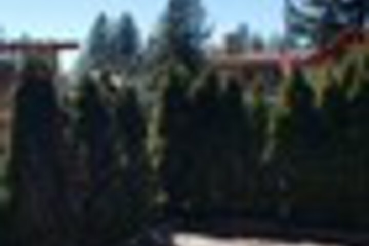 Hotel 731 of 828