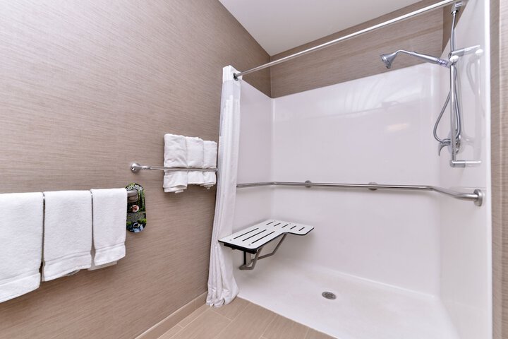 1 King Bed Standard Mobility Accessible Tub (11 of 25)