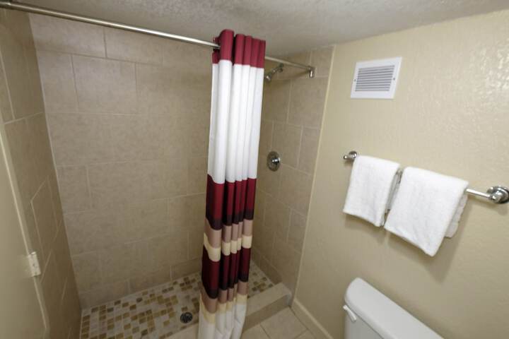 ADA Accessible Superior King with Roll in Shower (4 of 8)