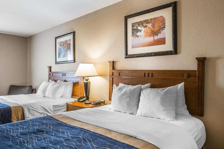 2 Queen Beds (1 of 5)