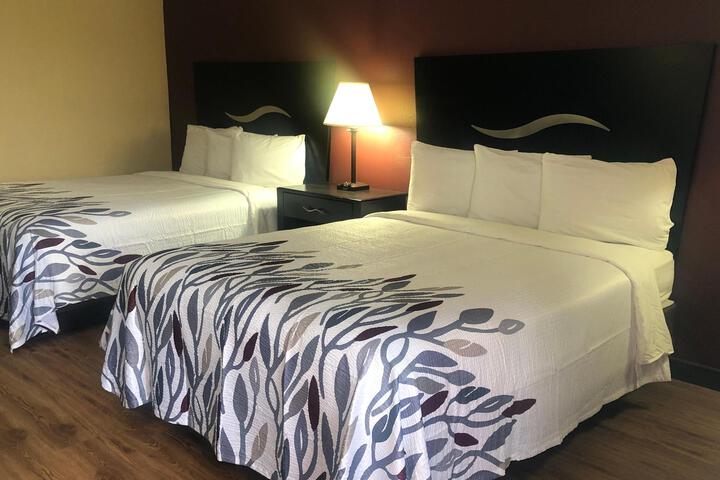 Superior 2 Queen Beds (1 of 7)