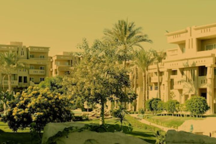 Garden view