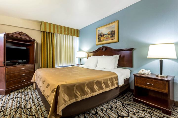 1 King Bed (9 of 15)