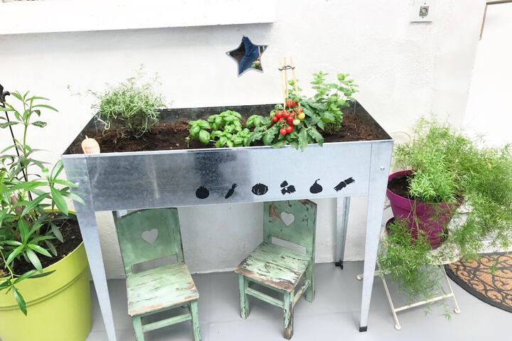 Terrace/Patio 62 of 101