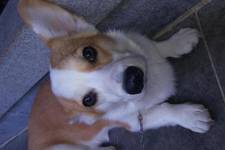 Photo 20
