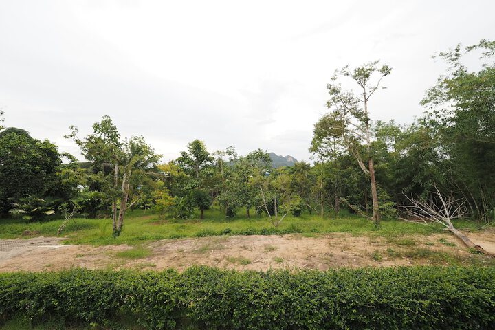 Property Grounds 42 of 57