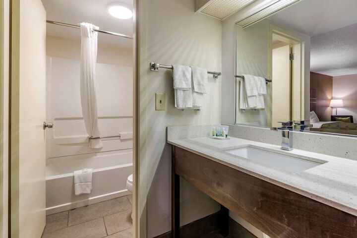 1 Queen Bed Accessible (2 of 13)