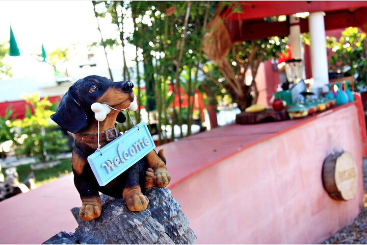 Pet Friendly 52 of 68