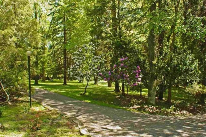 Property Grounds 20 of 27