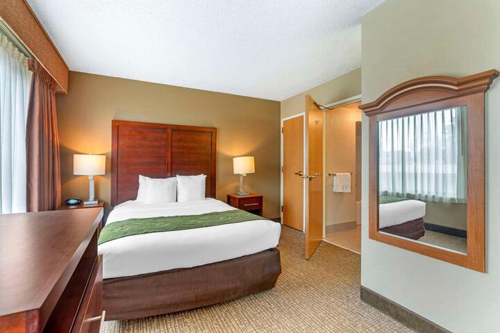 1 King Bed (9 of 11)