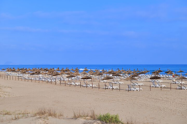 Beach 188 of 203