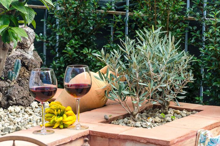 Terrace/Patio 19 of 101