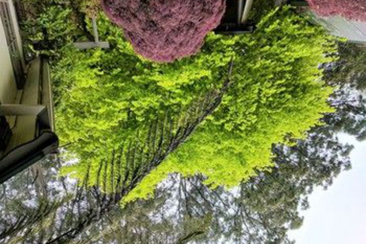 Hotel Exterior 24 of 91