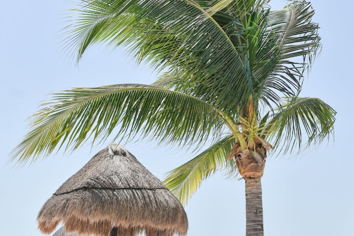 Beach 99 of 125