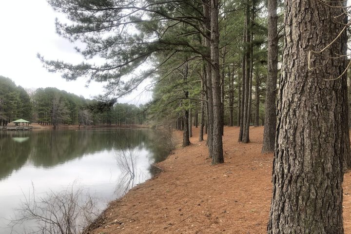 Property Grounds 58 of 66