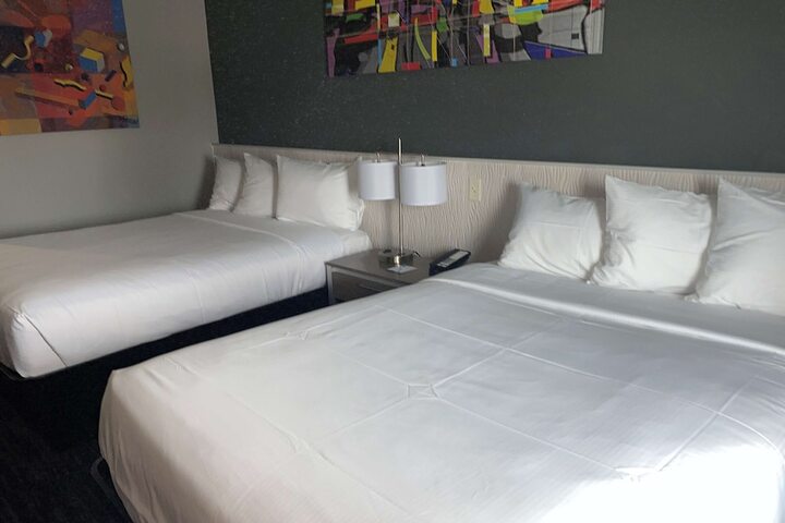 2 Queen Beds Pet Friendly (8 of 13)
