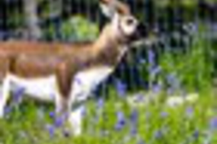 Hotel View 332 of 459