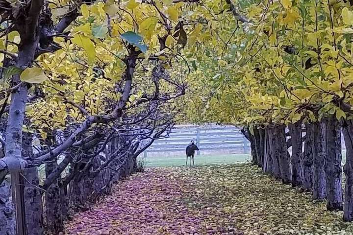 Property Grounds 67 of 87