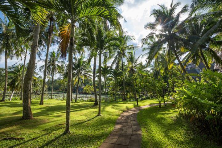 Spa and Wellness Pictures