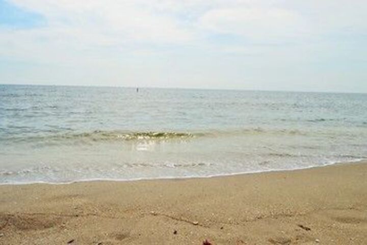 Beach 54 of 524