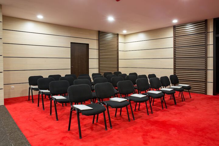 Meeting 113 of 132