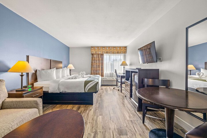 1 King Bed (3 of 16)