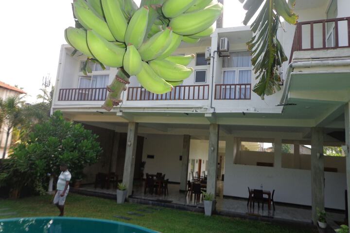 Hotel 74 of 81