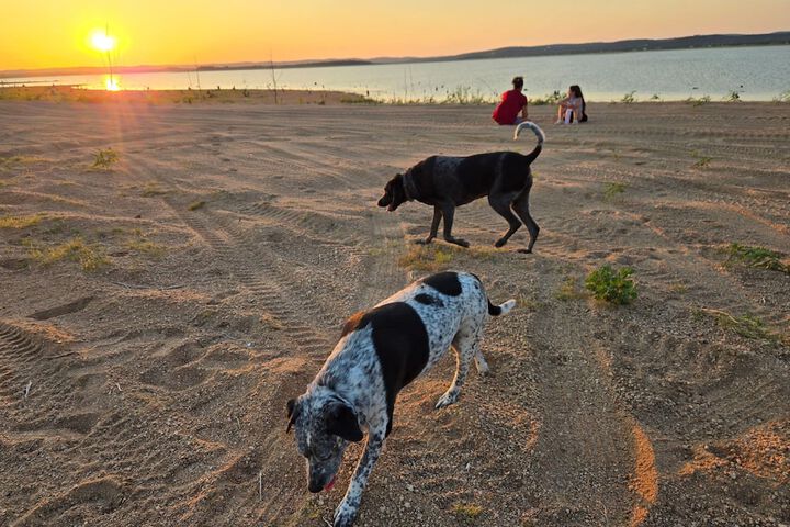 Property Grounds 56 of 70