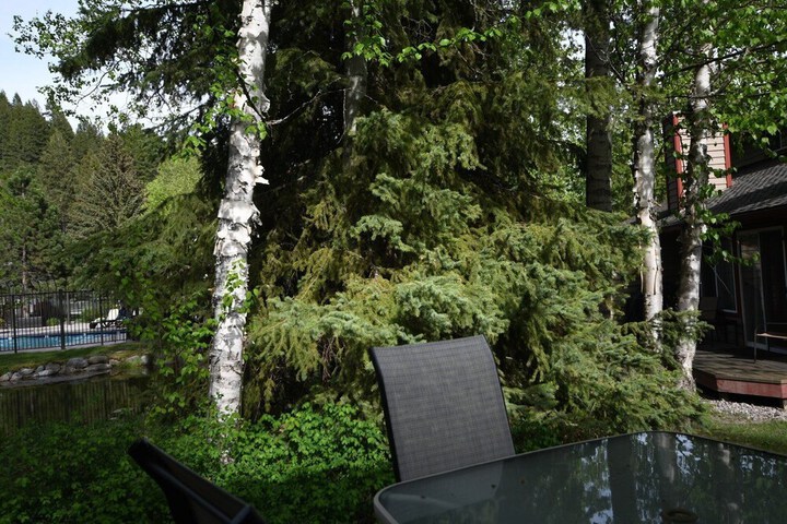 Property Grounds 20 of 38
