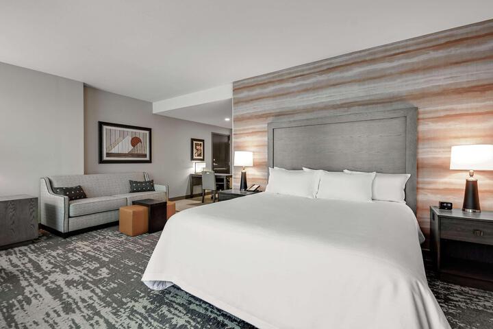 1 King Bed Studio Hearing Accessible (11 of 21)