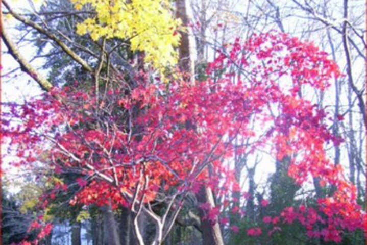 Property Grounds 26 of 29