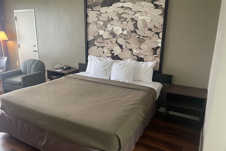 1 King Bed (16 of 20)