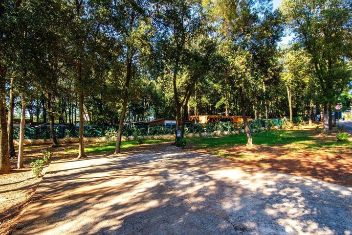 Property Grounds 22 of 36